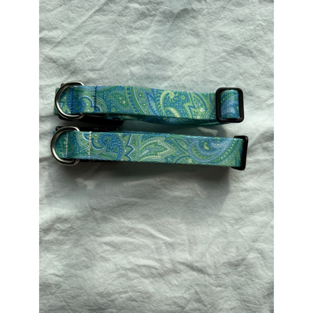 Green and Blue Paisley 1"‎ Wide Dog Collar